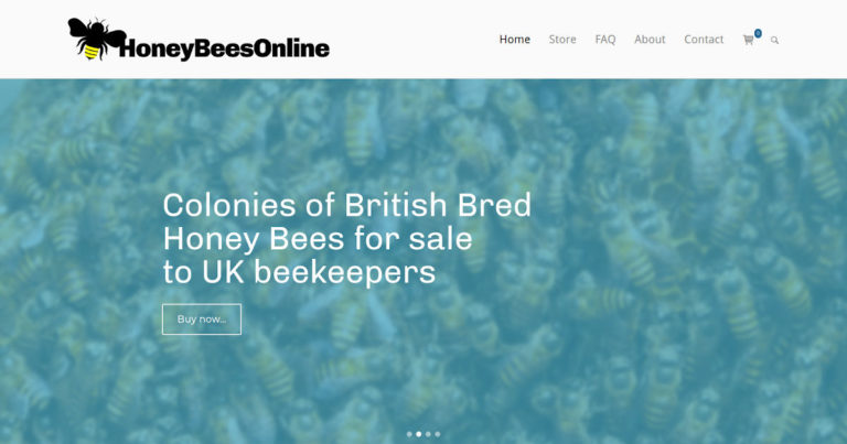Portfolio image for Honey Bees Online - Another website by Brighton WebTech